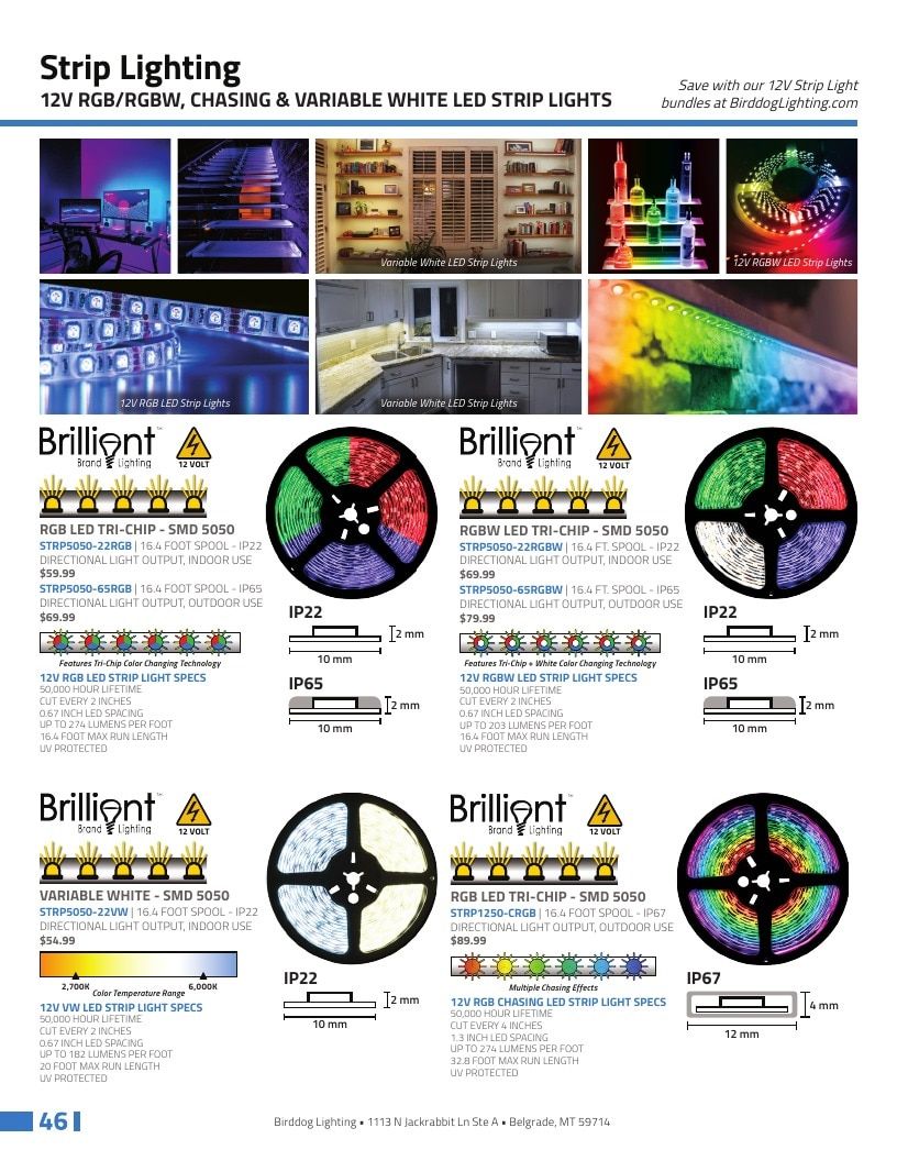 Birddog Lighting Holiday Lighting Catalog Weekly Ad January 1 - December 31, 2026