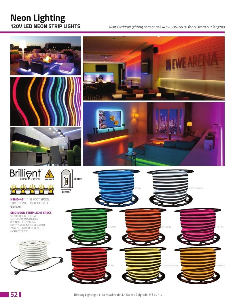 Birddog Lighting Holiday Lighting Catalog Weekly Ad January 1 - December 31, 2026