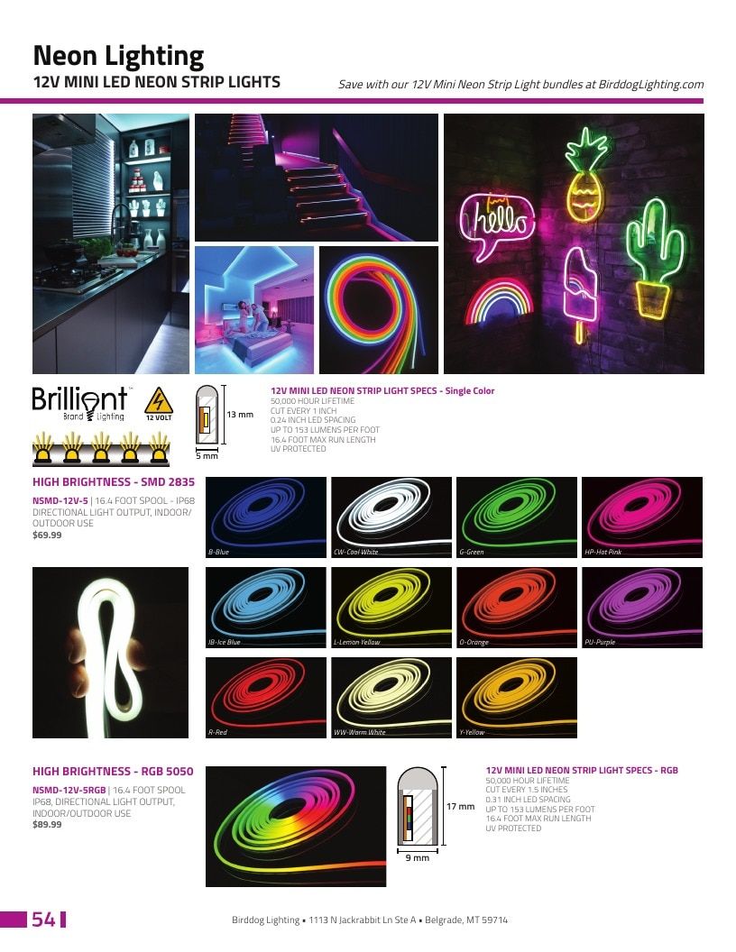 Birddog Lighting Holiday Lighting Catalog Weekly Ad January 1 - December 31, 2026