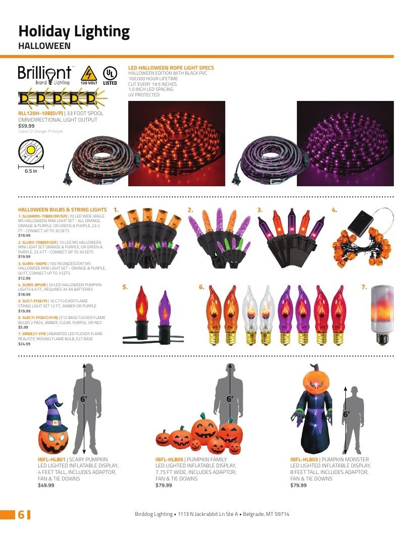 Birddog Lighting Holiday Lighting Catalog Weekly Ad January 1 - December 31, 2026