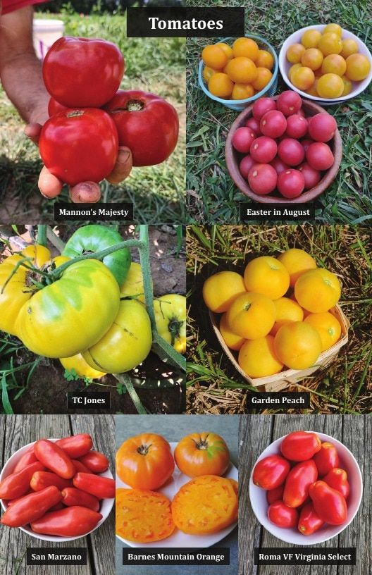 Common Wealth Seed Growers Seed Catalog Weekly Ad January 1 - December 31, 2026