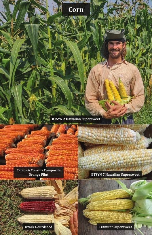 Common Wealth Seed Growers Seed Catalog Weekly Ad January 1 - December 31, 2026