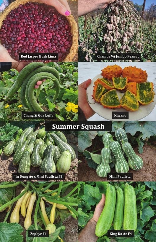 Common Wealth Seed Growers Seed Catalog Weekly Ad January 1 - December 31, 2026