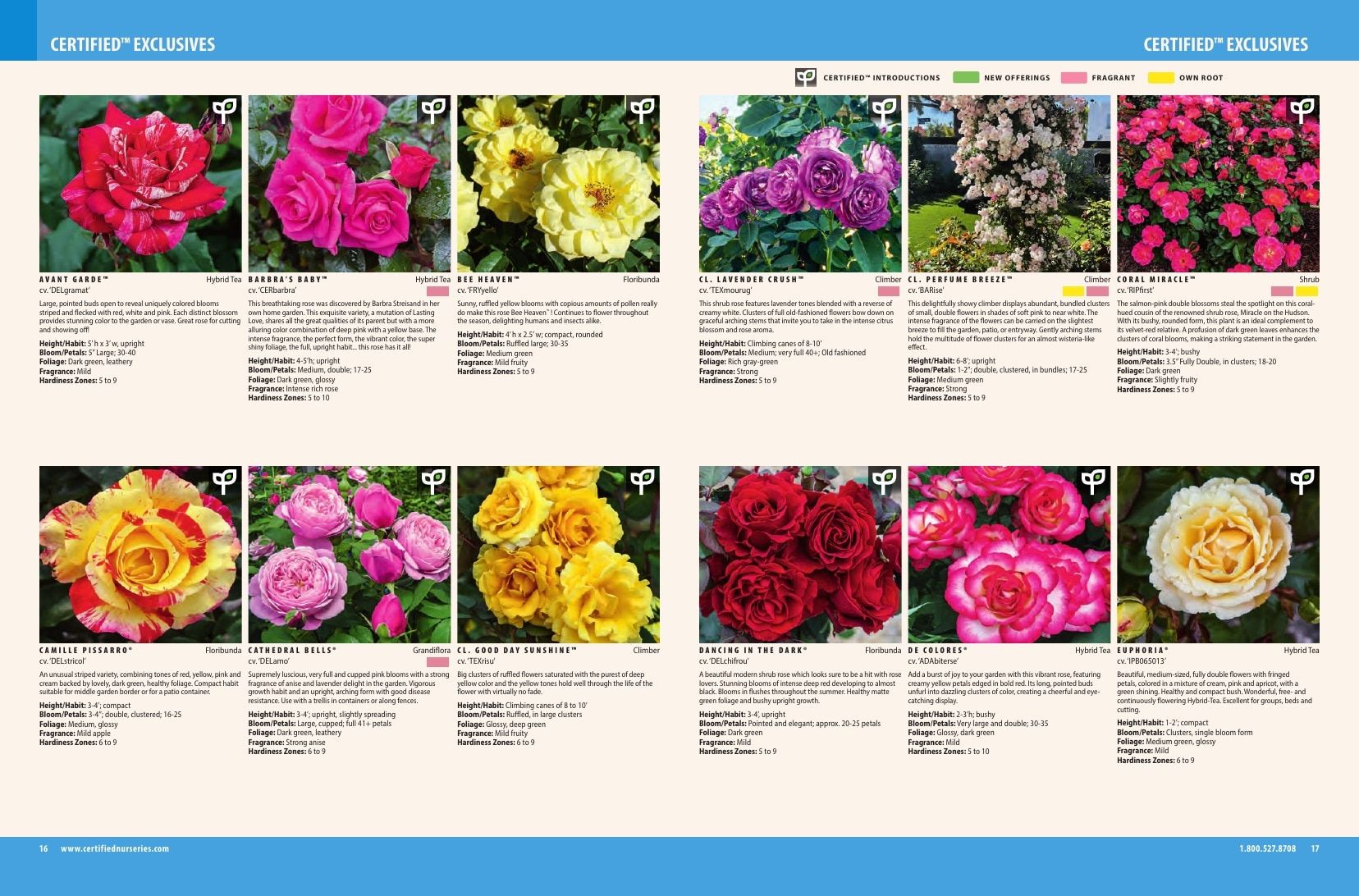 Certified Nurseries Wholesale Roses Catalog Weekly Ad August 1, 2026 - December 31, 2027