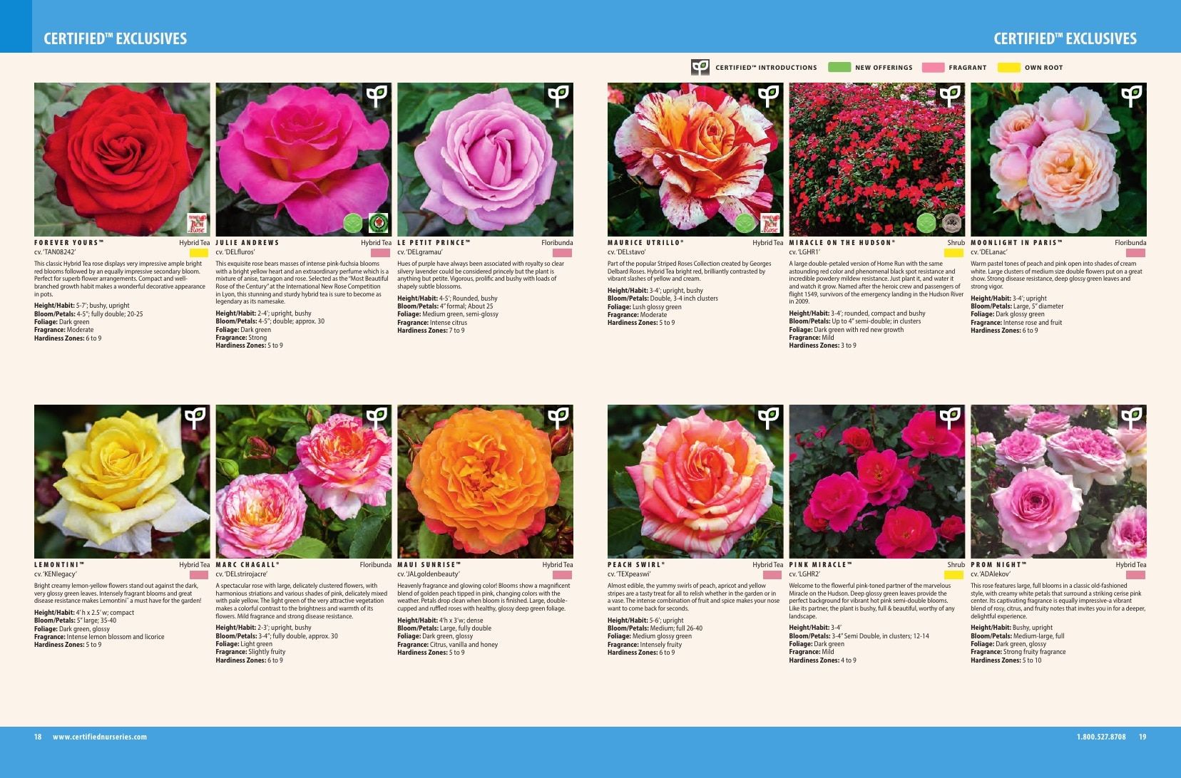 Certified Nurseries Wholesale Roses Catalog Weekly Ad August 1, 2026 - December 31, 2027
