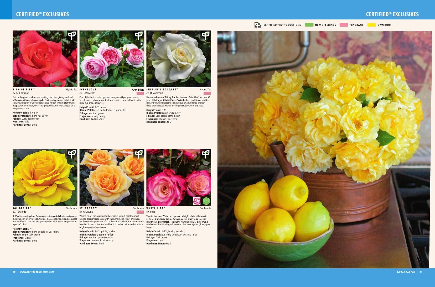 Certified Nurseries Wholesale Roses Catalog Weekly Ad August 1, 2026 - December 31, 2027