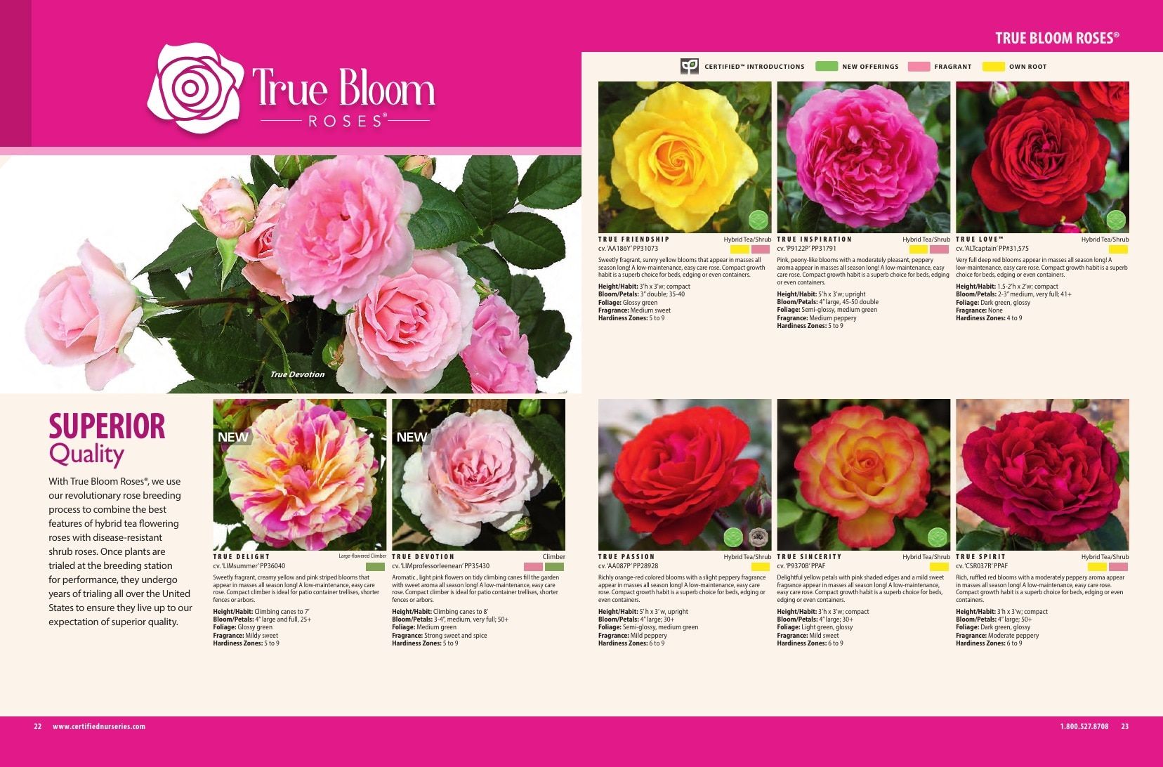 Certified Nurseries Wholesale Roses Catalog Weekly Ad August 1, 2026 - December 31, 2027