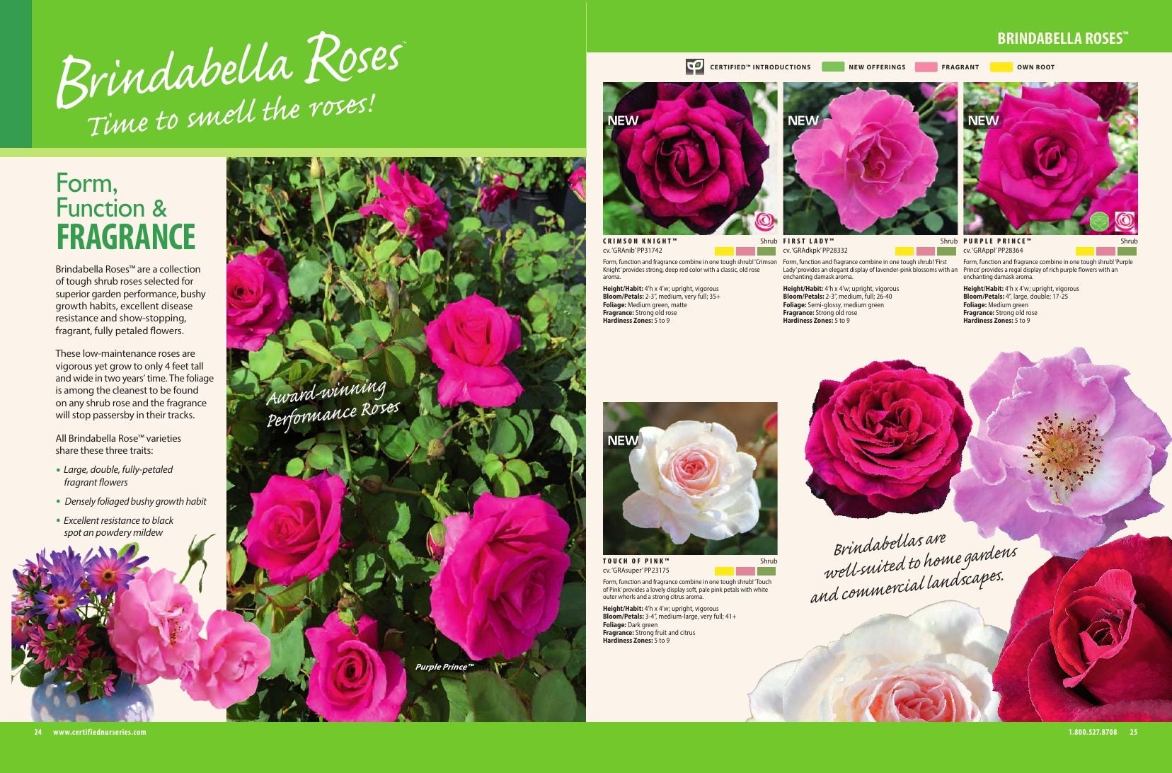 Certified Nurseries Wholesale Roses Catalog Weekly Ad August 1, 2026 - December 31, 2027