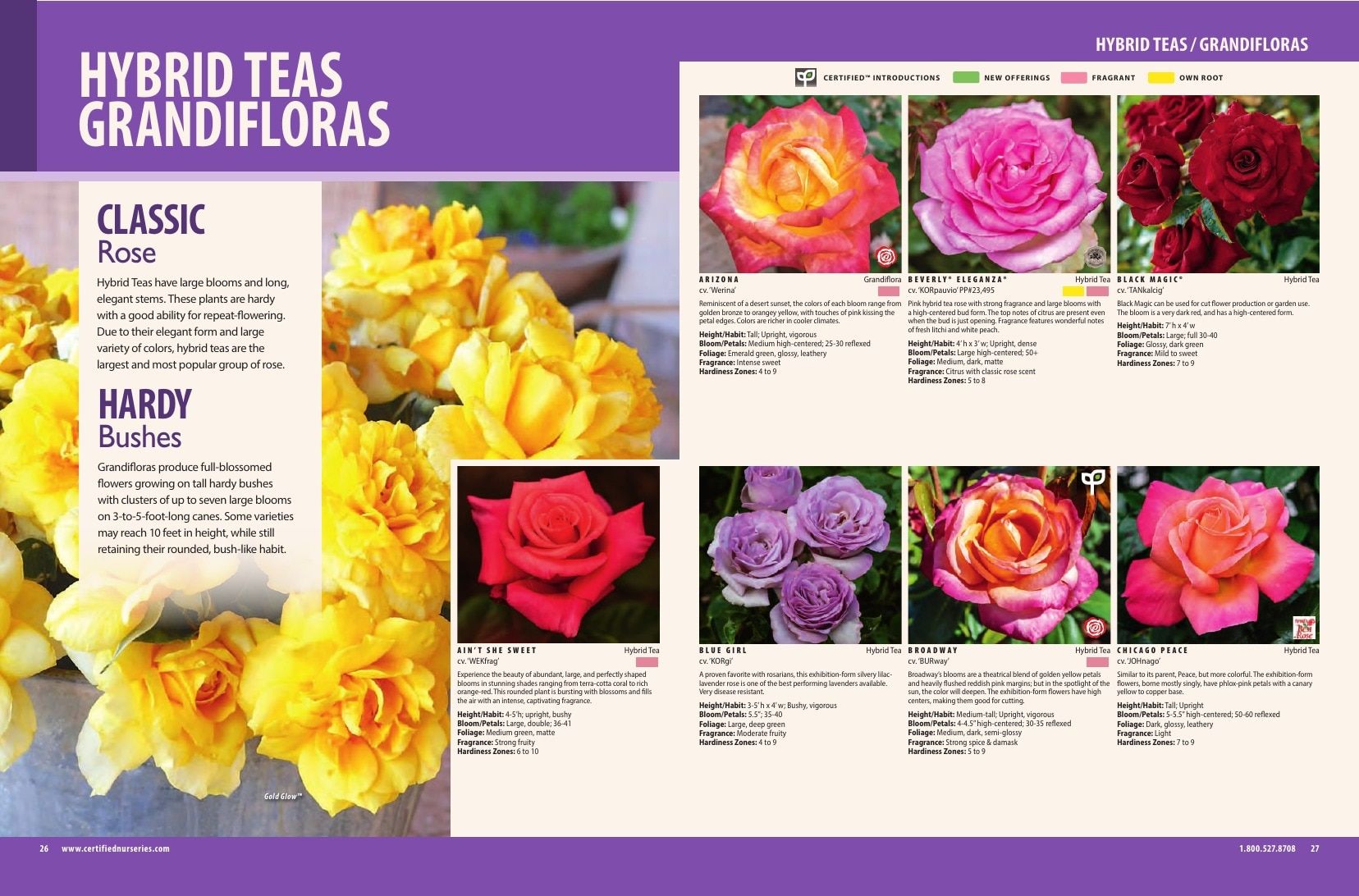 Certified Nurseries Wholesale Roses Catalog Weekly Ad August 1, 2026 - December 31, 2027