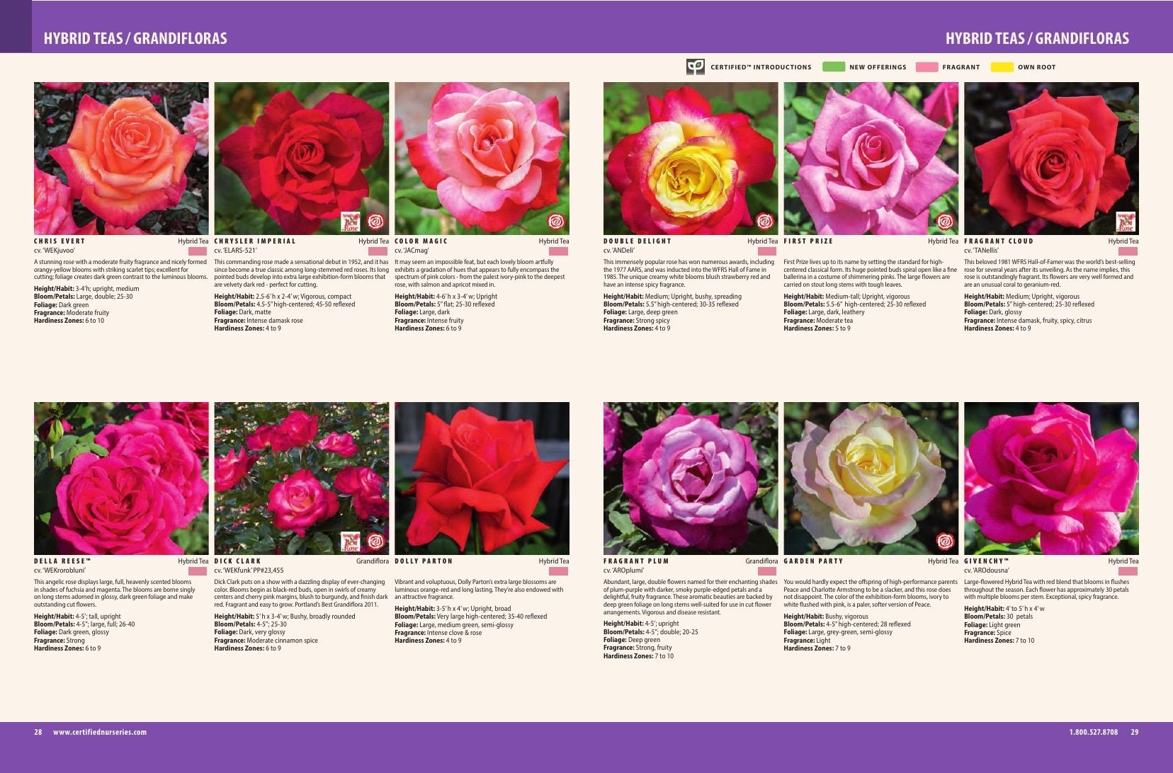 Certified Nurseries Wholesale Roses Catalog Weekly Ad August 1, 2026 - December 31, 2027