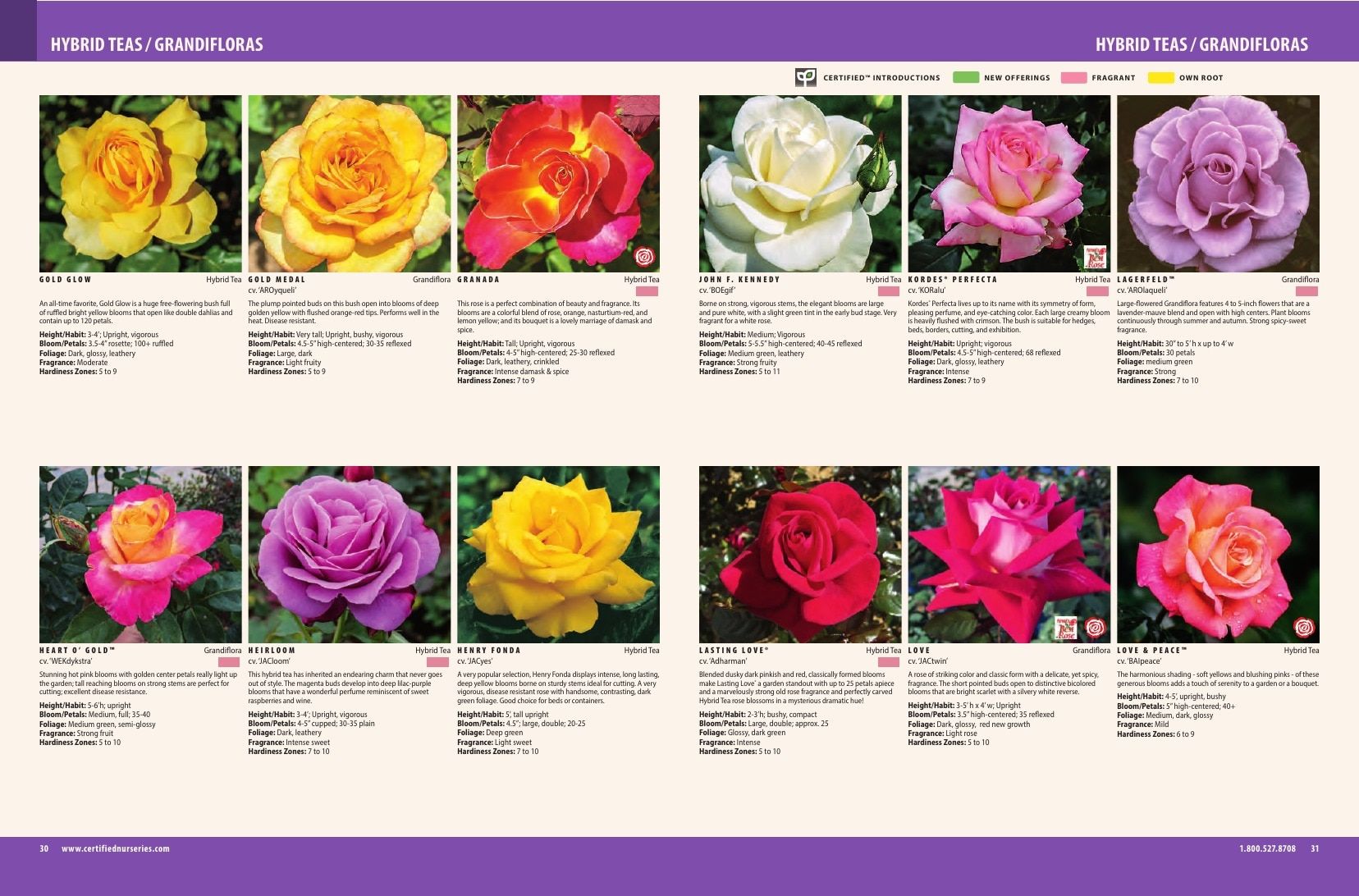 Certified Nurseries Wholesale Roses Catalog Weekly Ad August 1, 2026 - December 31, 2027