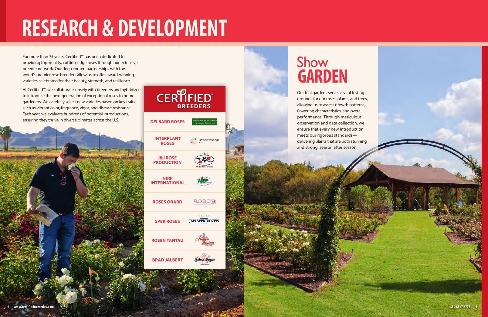 Certified Nurseries Wholesale Roses Catalog Weekly Ad August 1, 2026 - December 31, 2027