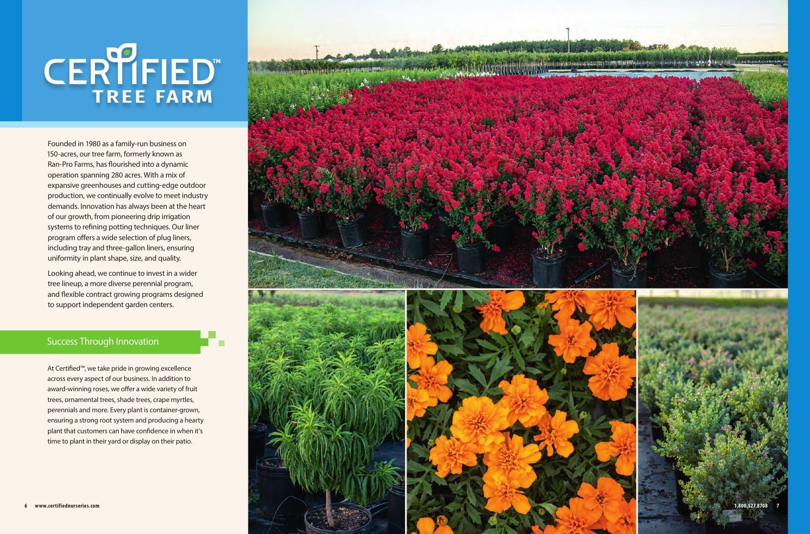 Certified Nurseries Wholesale Roses Catalog Weekly Ad August 1, 2026 - December 31, 2027