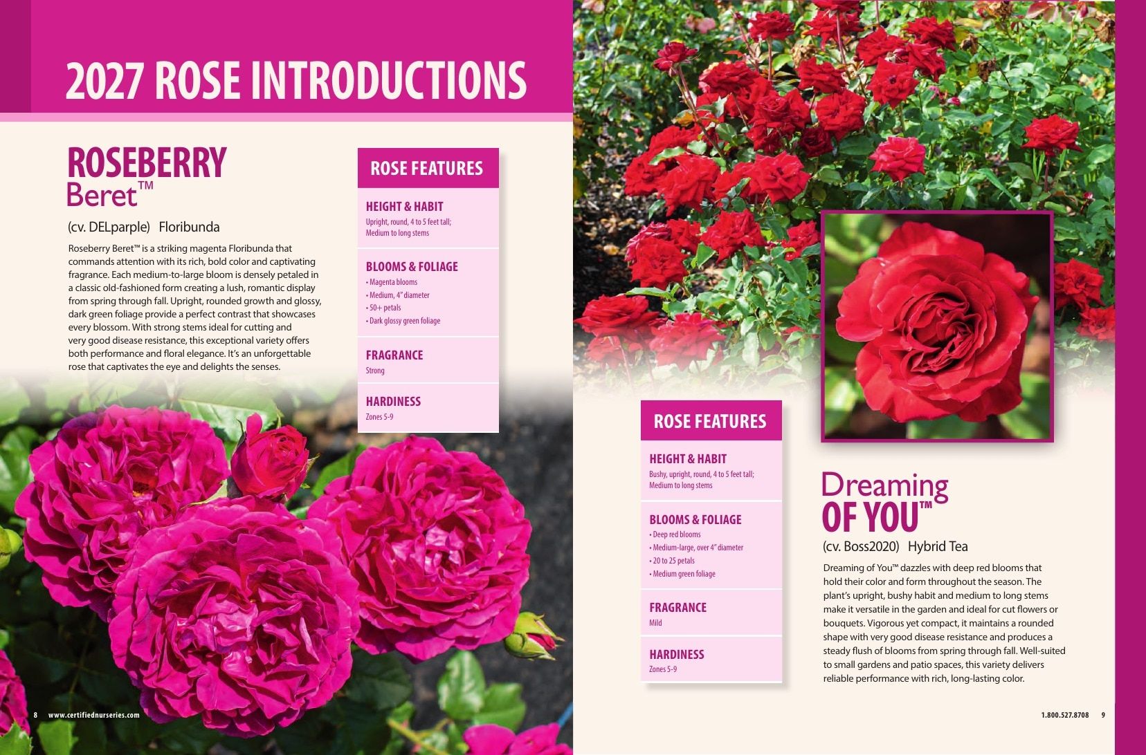Certified Nurseries Wholesale Roses Catalog Weekly Ad August 1, 2026 - December 31, 2027