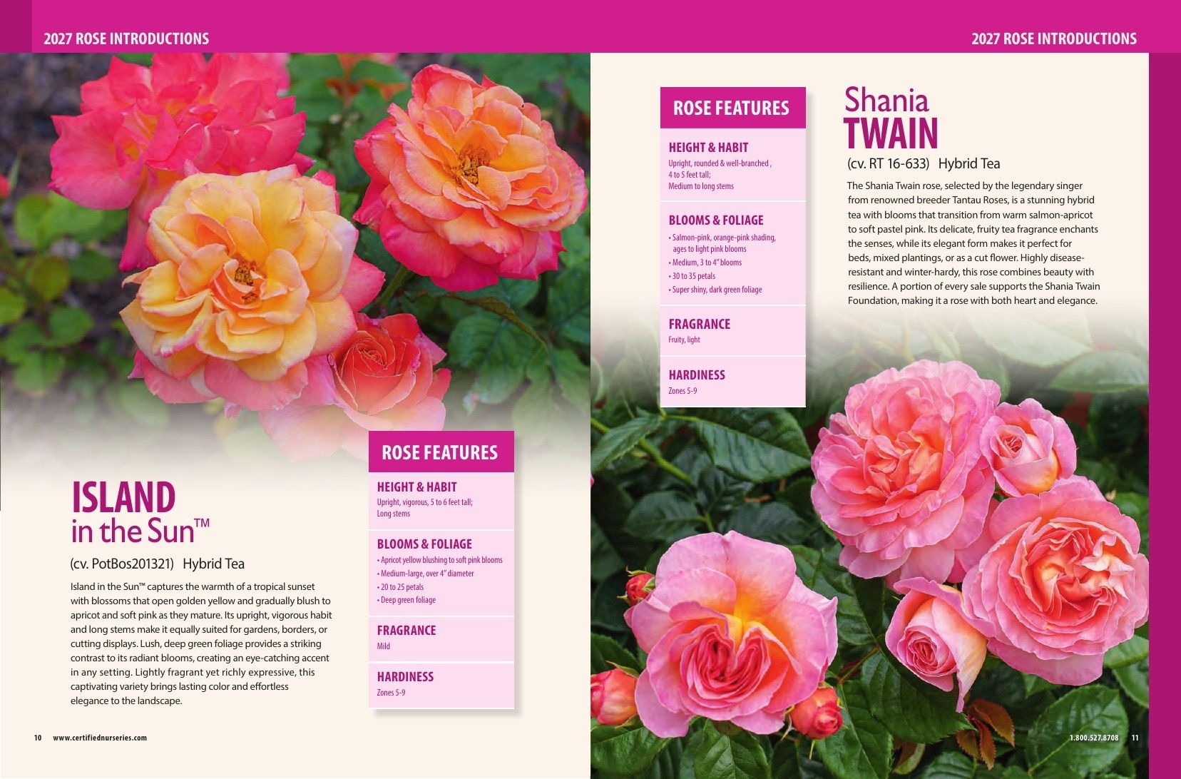 Certified Nurseries Wholesale Roses Catalog Weekly Ad August 1, 2026 - December 31, 2027