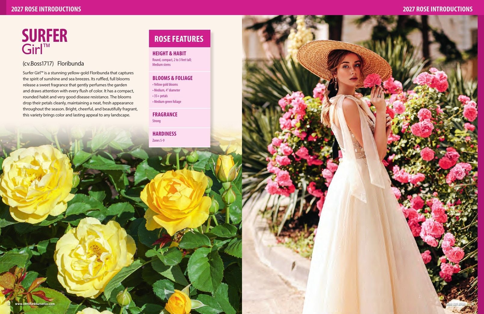 Certified Nurseries Wholesale Roses Catalog Weekly Ad August 1, 2026 - December 31, 2027