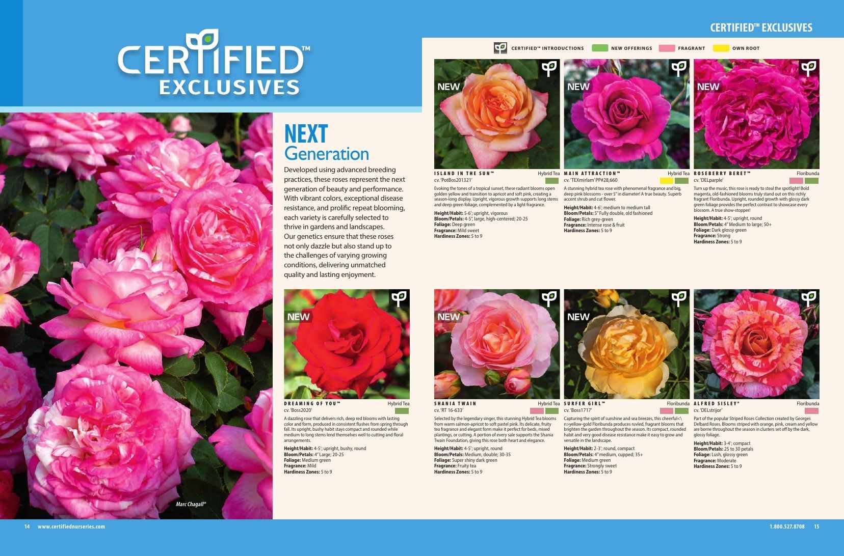 Certified Nurseries Wholesale Roses Catalog Weekly Ad August 1, 2026 - December 31, 2027