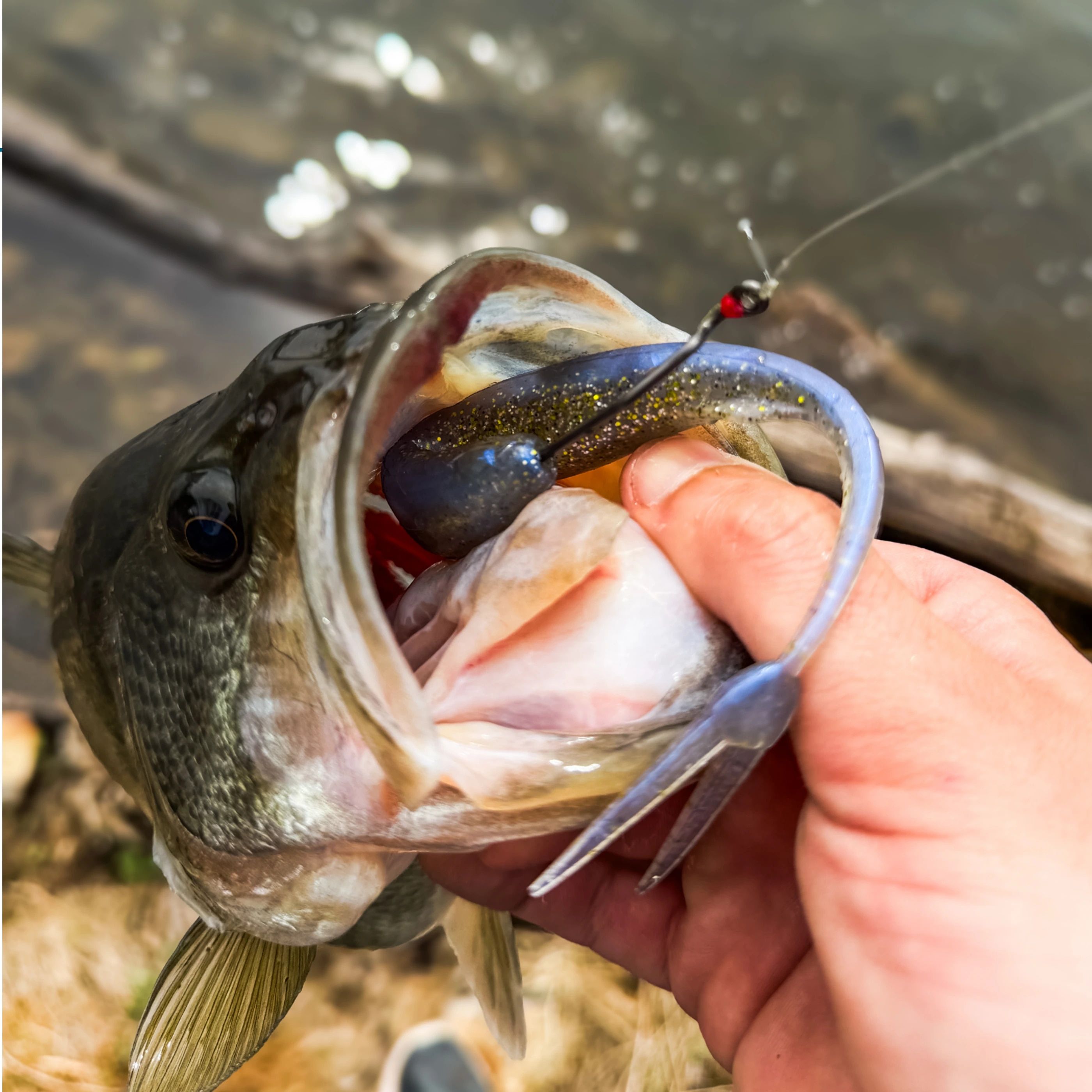 FishLab Fishing Lures Catalog Weekly Ad January 1, 2026 - December 31, 2027