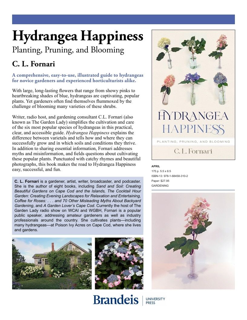 Brandeis University Press Spring Books Catalog Weekly Ad January 1 - December 31, 2026