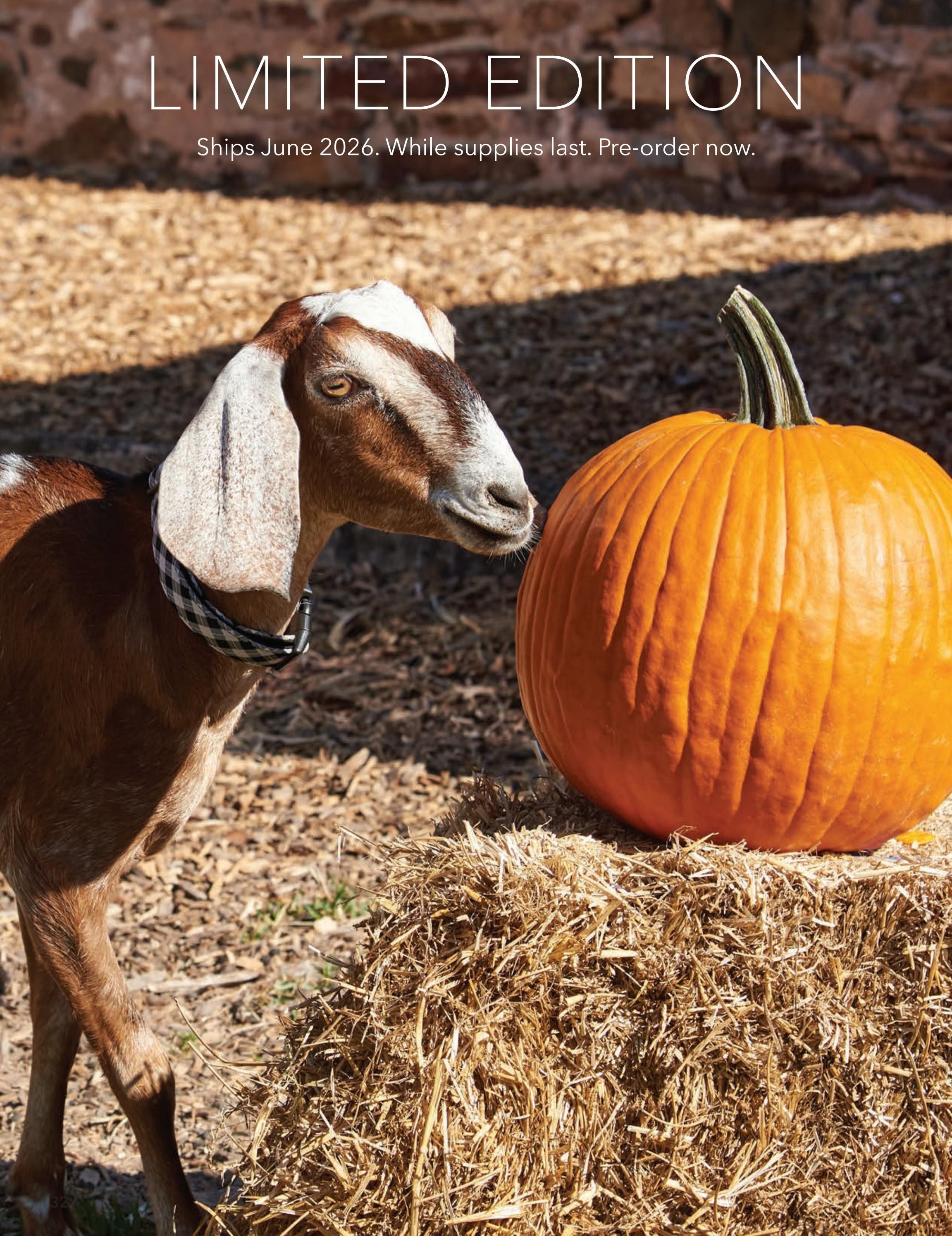 Dionis Goat Milk Skin Care Catalog Weekly Ad January 1 - December 31, 2026