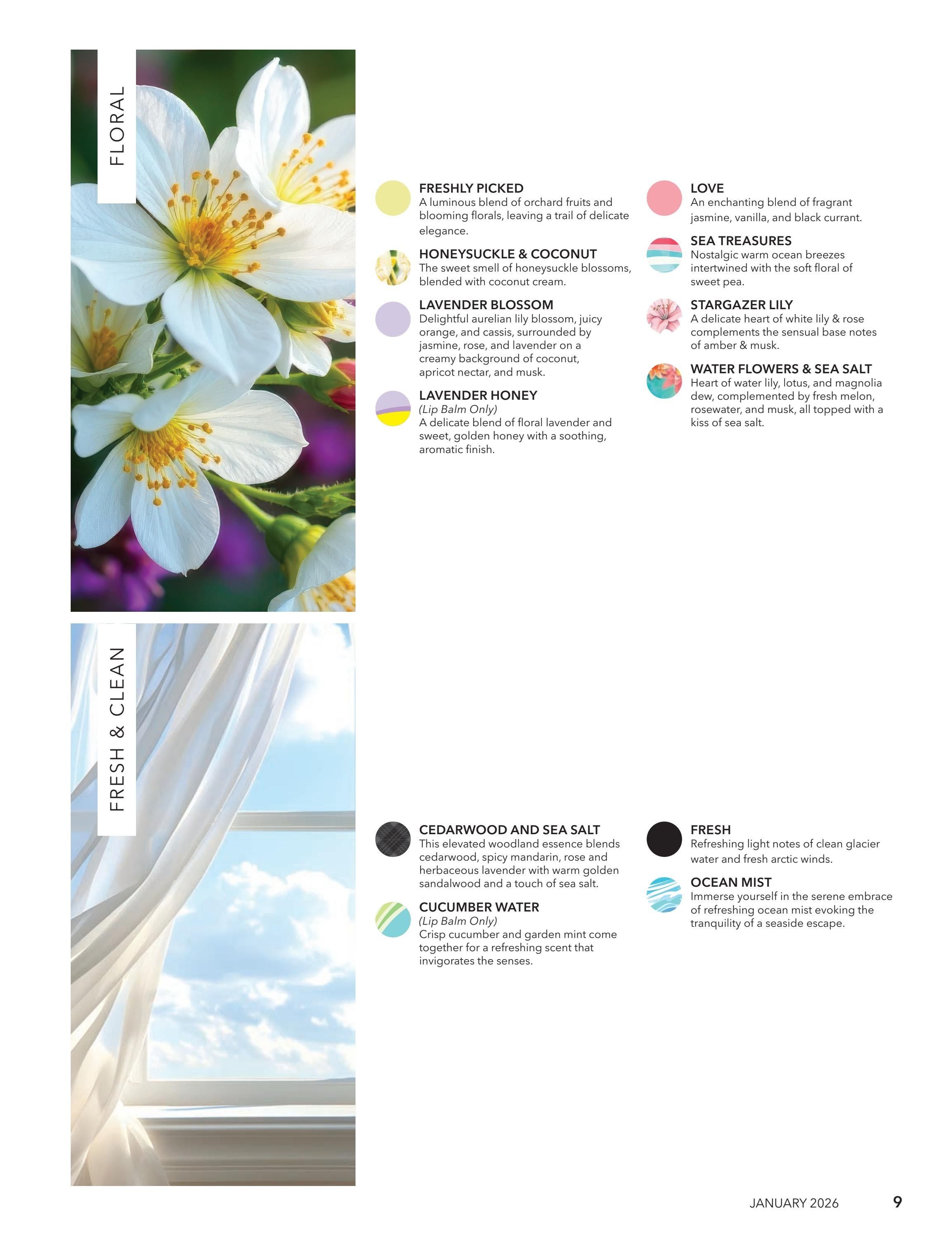 Dionis Goat Milk Skin Care Catalog Weekly Ad January 1 - December 31, 2026