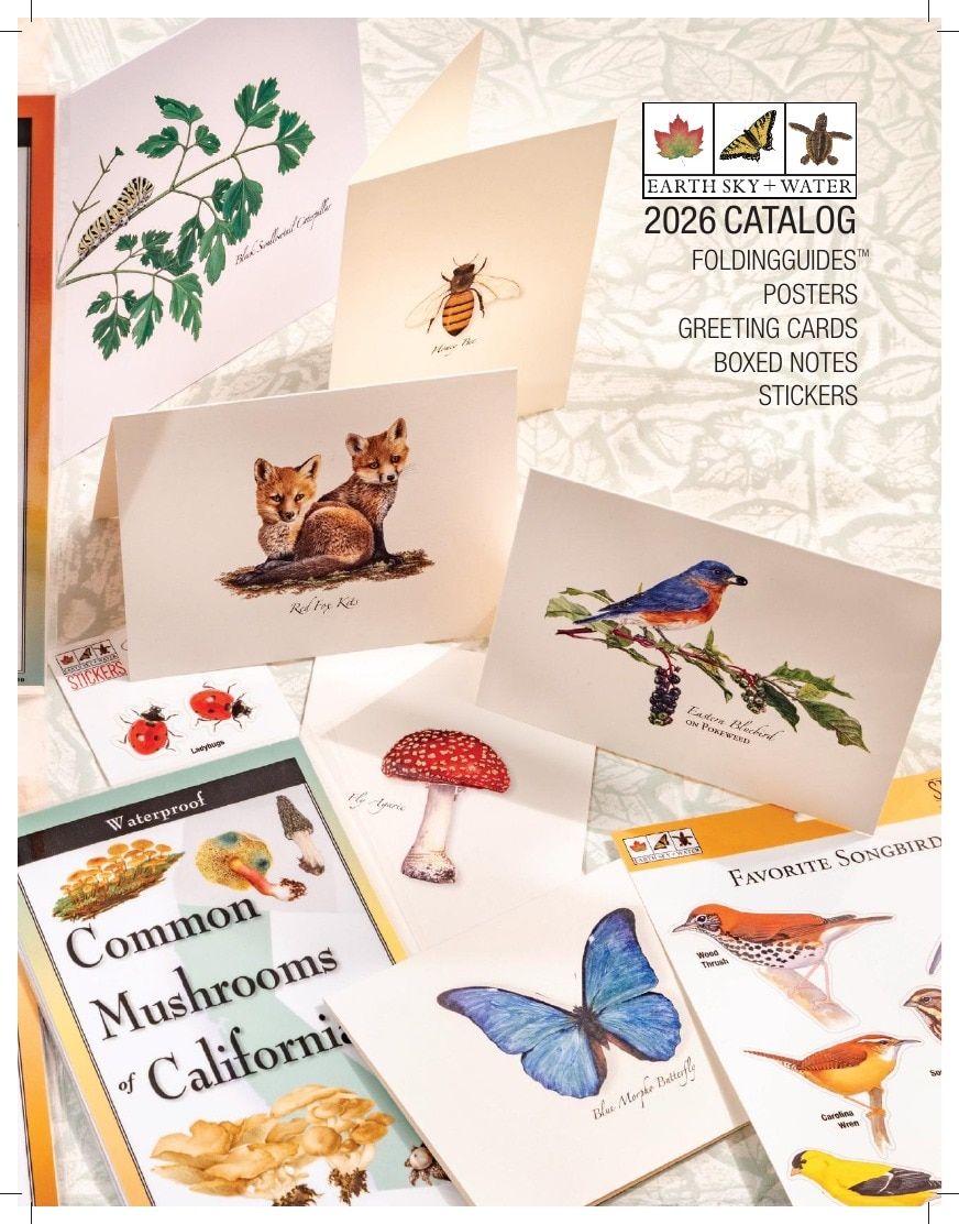 Earth Sky + Water Art Products Catalog Weekly Ad January 1 - December 31, 2026
