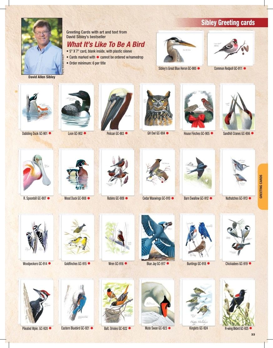 Earth Sky + Water Art Products Catalog Weekly Ad January 1 - December 31, 2026