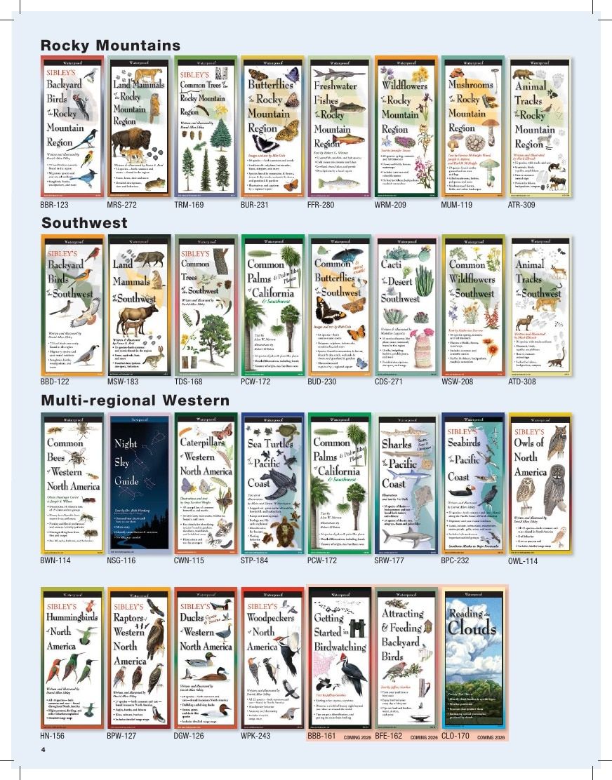 Earth Sky + Water Art Products Catalog Weekly Ad January 1 - December 31, 2026