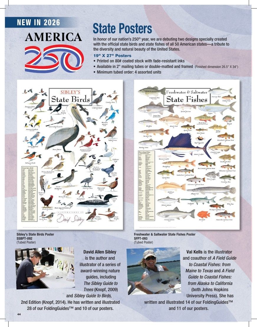 Earth Sky + Water Art Products Catalog Weekly Ad January 1 - December 31, 2026