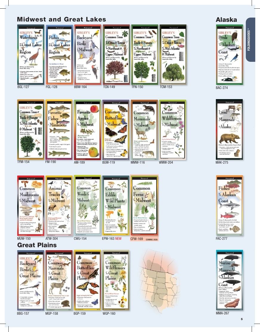 Earth Sky + Water Art Products Catalog Weekly Ad January 1 - December 31, 2026