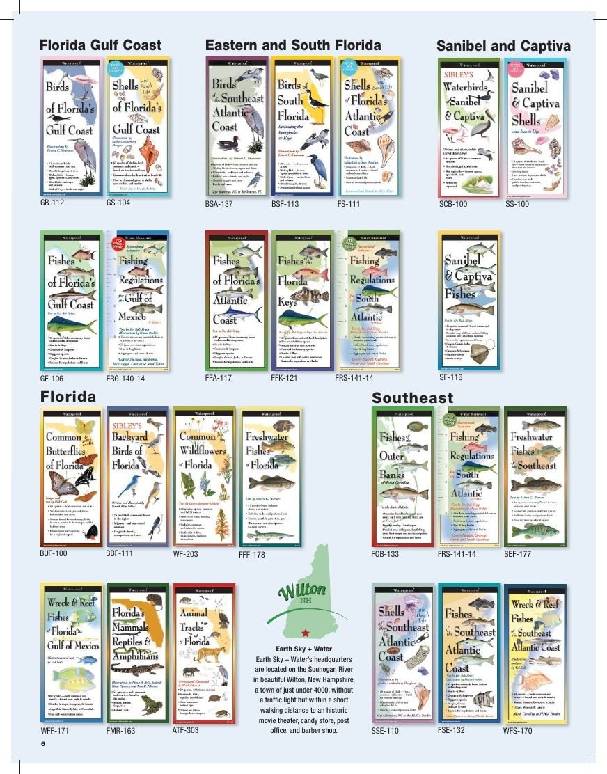 Earth Sky + Water Art Products Catalog Weekly Ad January 1 - December 31, 2026