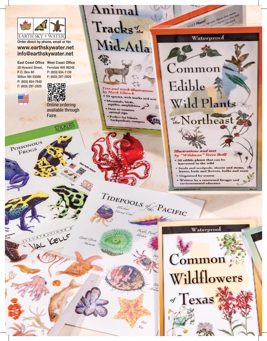 Earth Sky + Water Art Products Catalog Weekly Ad January 1 - December 31, 2026