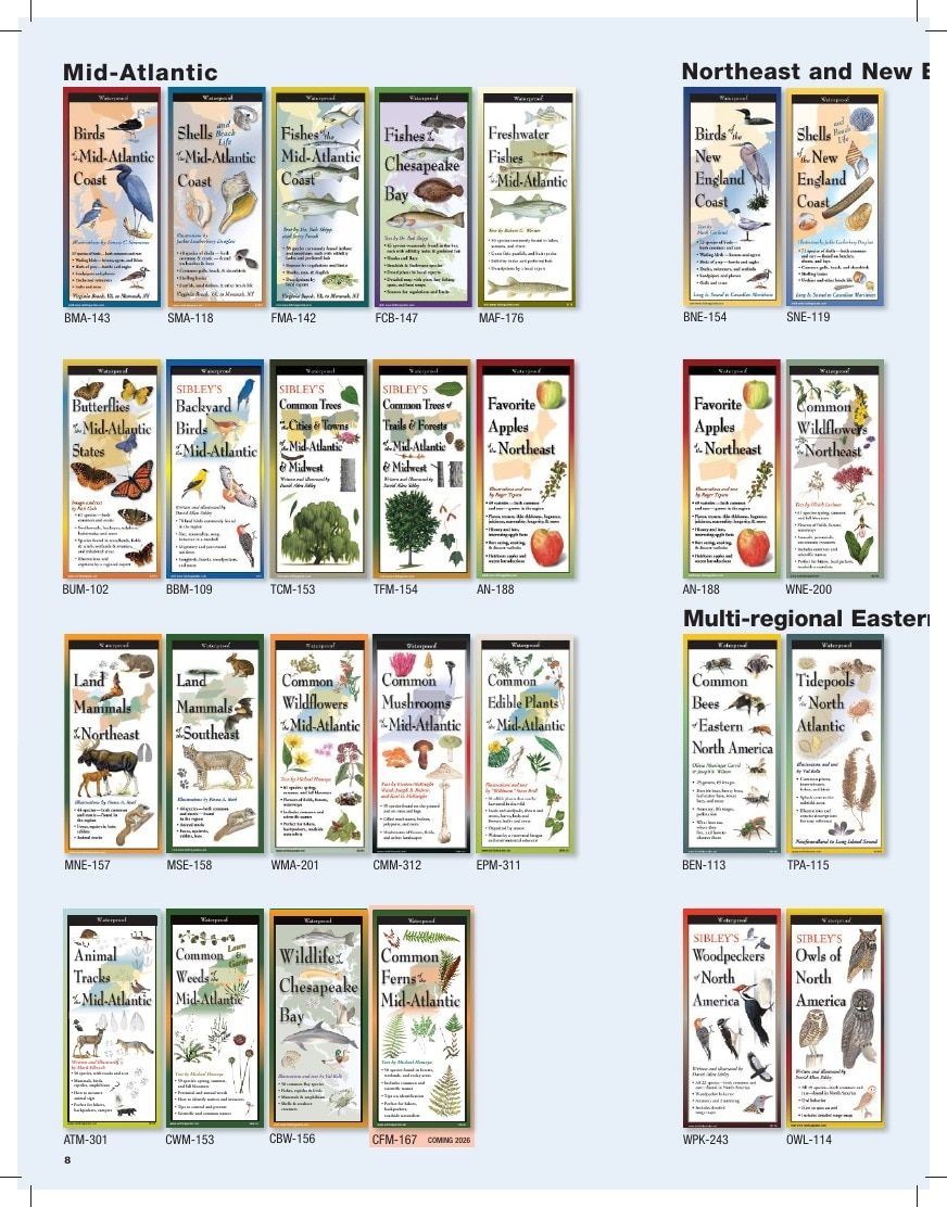 Earth Sky + Water Art Products Catalog Weekly Ad January 1 - December 31, 2026