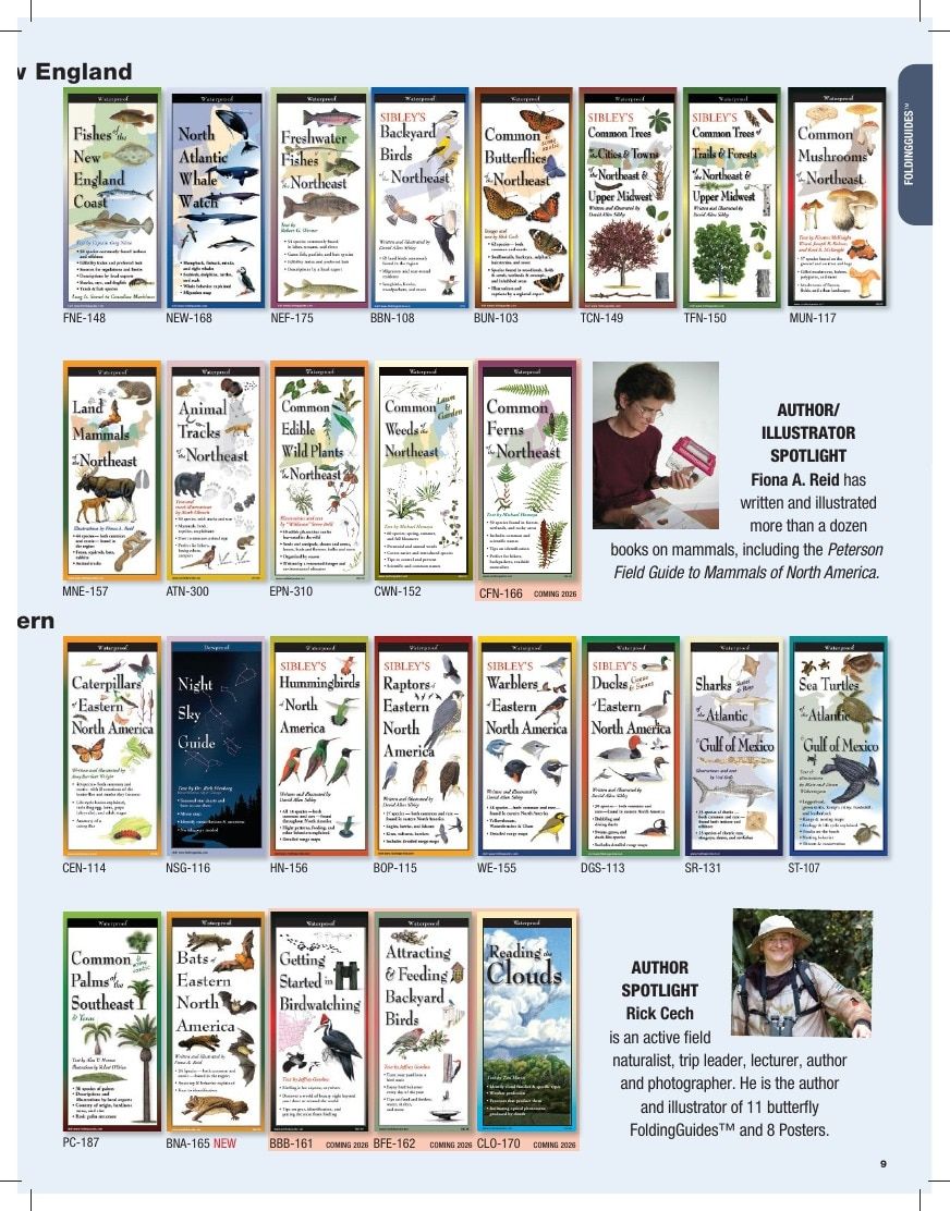 Earth Sky + Water Art Products Catalog Weekly Ad January 1 - December 31, 2026