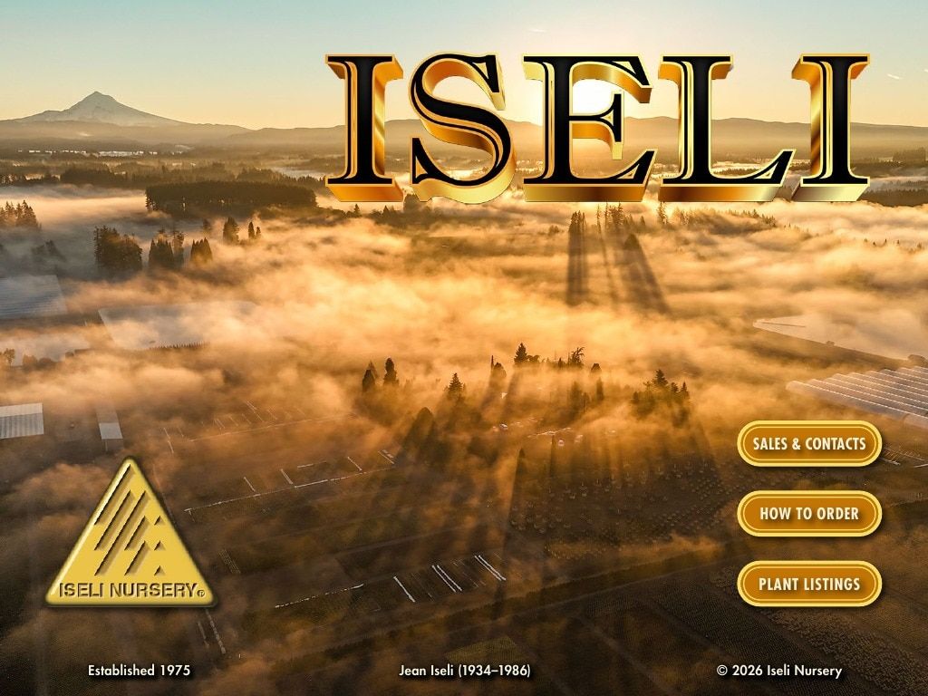 Iseli Nursery Wholesale Nursery Catalog Weekly Ad January 1, 2026 - December 31, 2027
