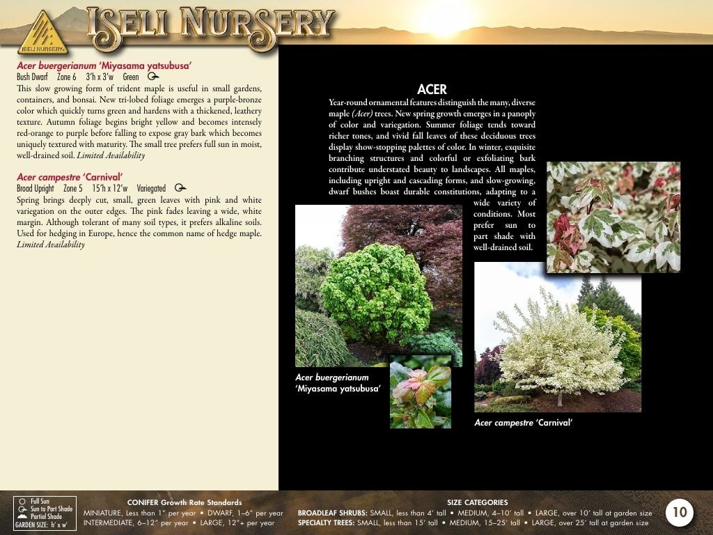 Iseli Nursery Wholesale Nursery Catalog Weekly Ad January 1, 2026 - December 31, 2027
