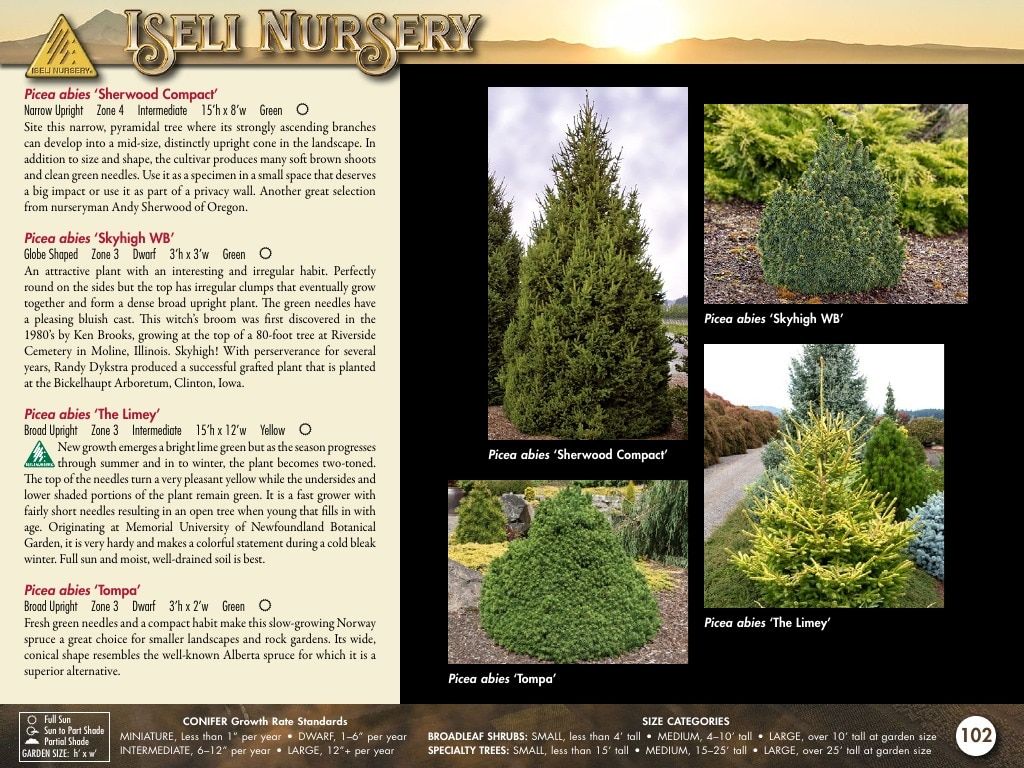 Iseli Nursery Wholesale Nursery Catalog Weekly Ad January 1, 2026 - December 31, 2027