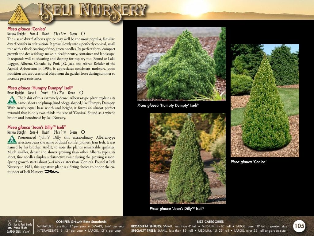 Iseli Nursery Wholesale Nursery Catalog Weekly Ad January 1, 2026 - December 31, 2027