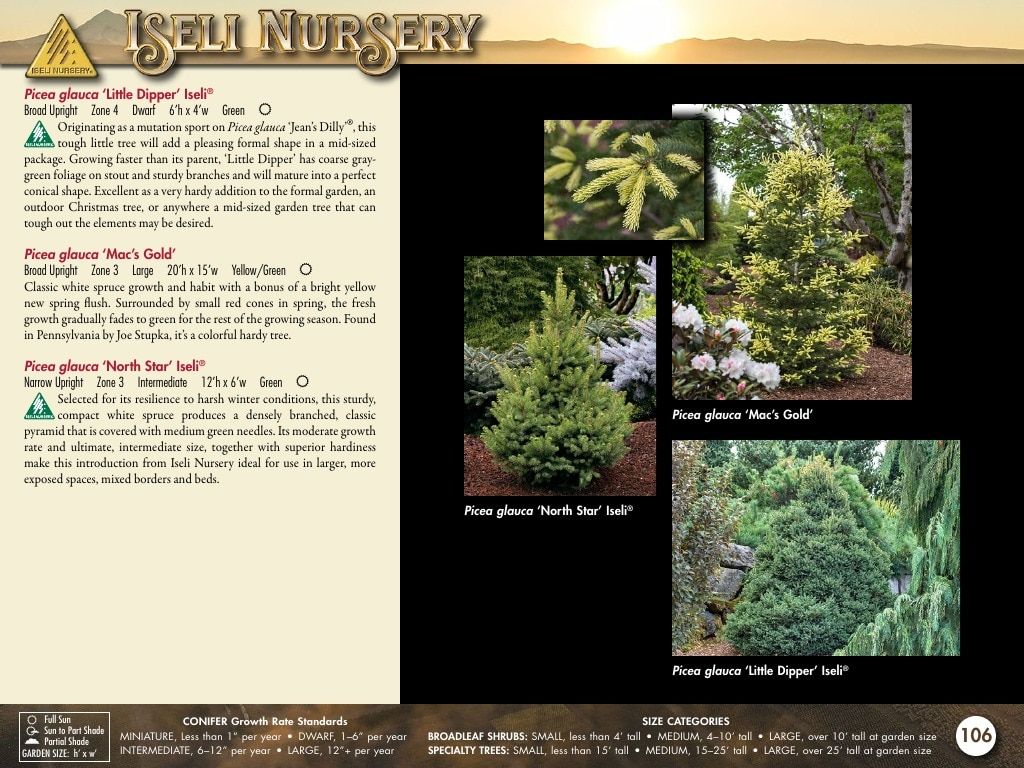 Iseli Nursery Wholesale Nursery Catalog Weekly Ad January 1, 2026 - December 31, 2027