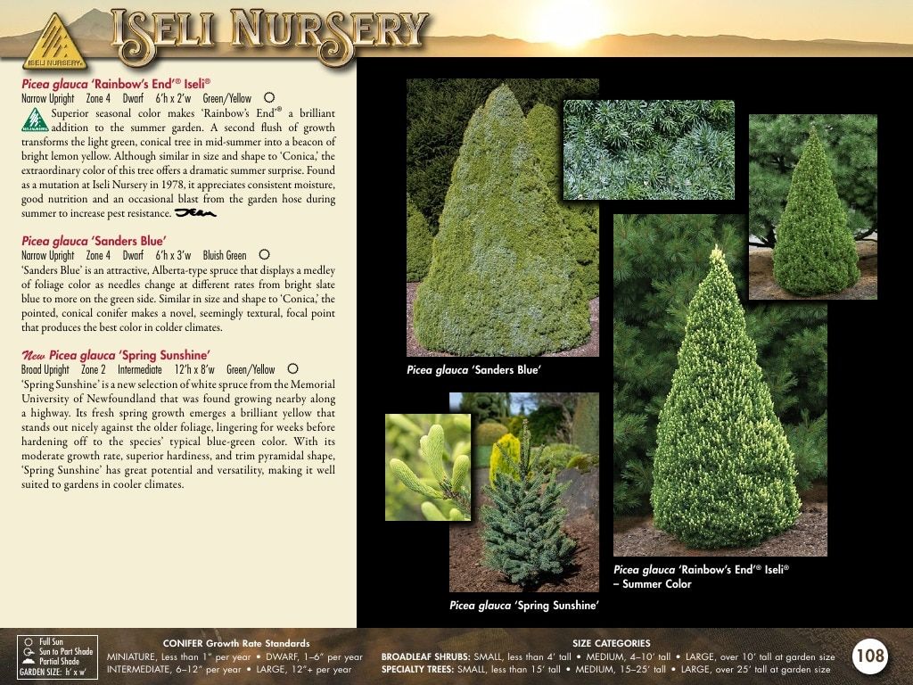 Iseli Nursery Wholesale Nursery Catalog Weekly Ad January 1, 2026 - December 31, 2027