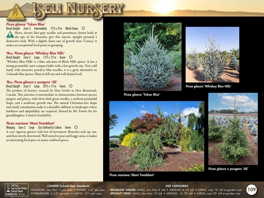Iseli Nursery Wholesale Nursery Catalog Weekly Ad January 1, 2026 - December 31, 2027