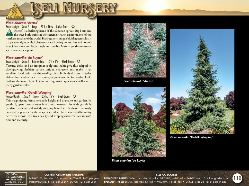 Iseli Nursery Wholesale Nursery Catalog Weekly Ad January 1, 2026 - December 31, 2027