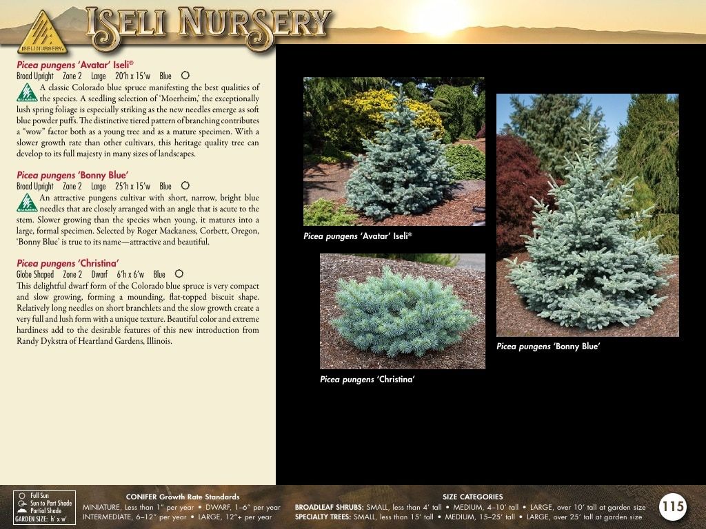 Iseli Nursery Wholesale Nursery Catalog Weekly Ad January 1, 2026 - December 31, 2027