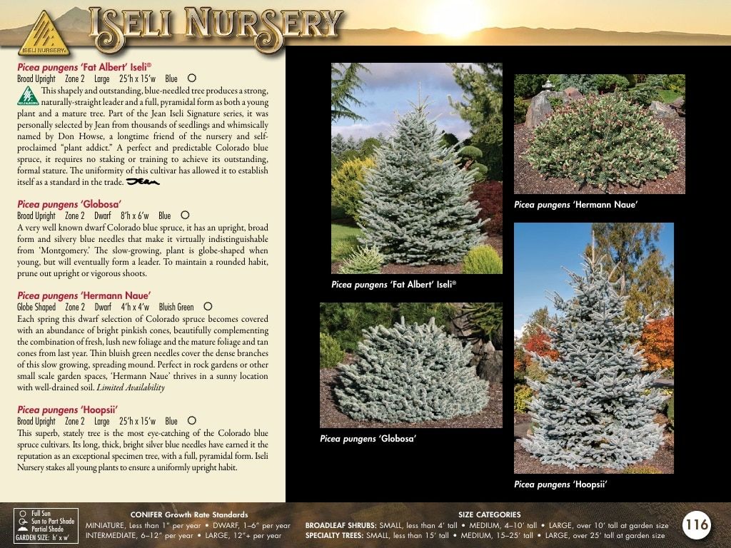 Iseli Nursery Wholesale Nursery Catalog Weekly Ad January 1, 2026 - December 31, 2027