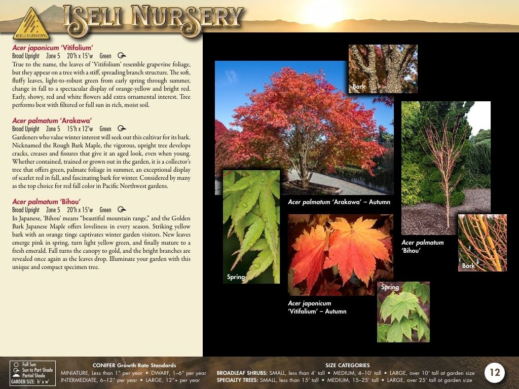 Iseli Nursery Wholesale Nursery Catalog Weekly Ad January 1, 2026 - December 31, 2027