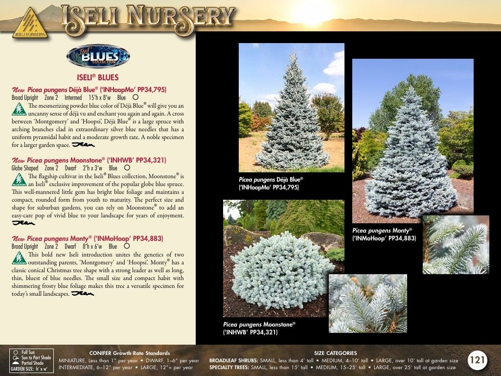 Iseli Nursery Wholesale Nursery Catalog Weekly Ad January 1, 2026 - December 31, 2027
