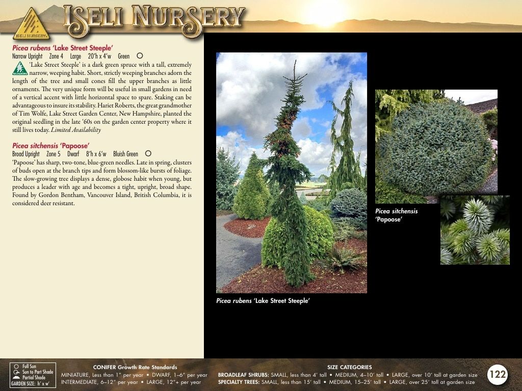 Iseli Nursery Wholesale Nursery Catalog Weekly Ad January 1, 2026 - December 31, 2027
