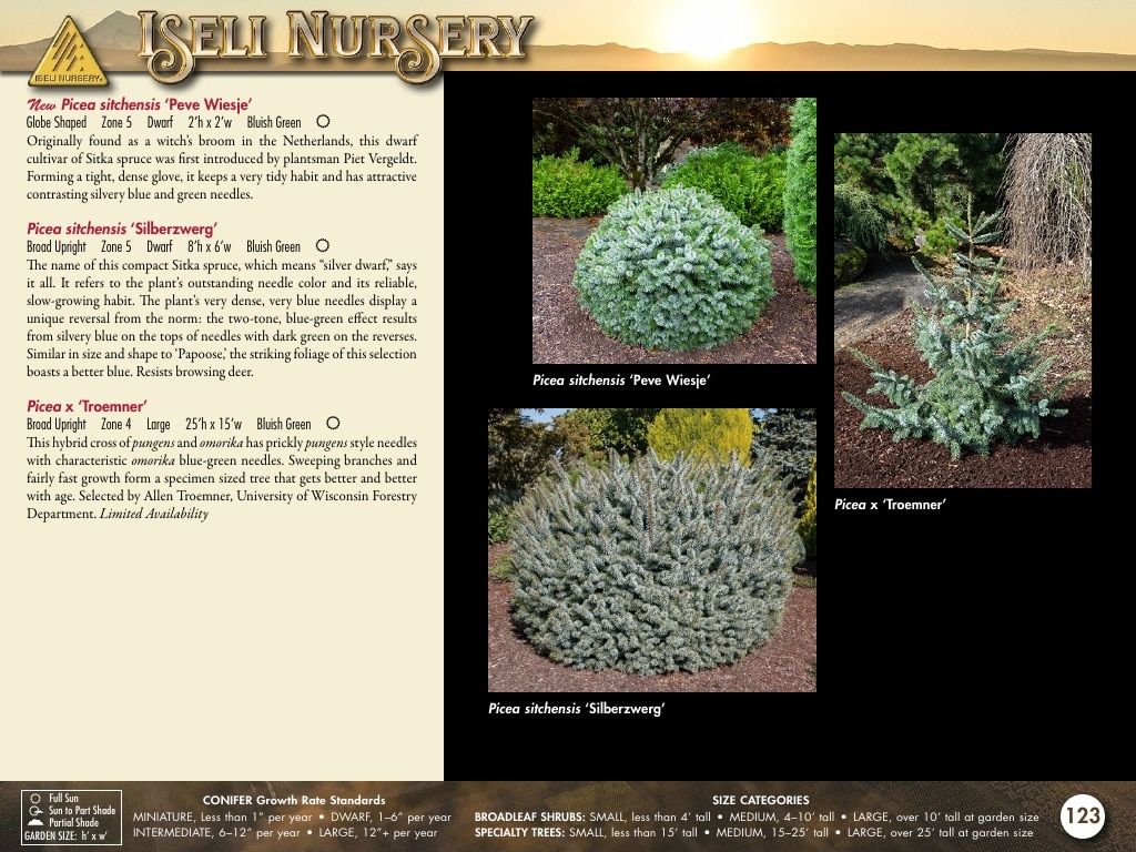 Iseli Nursery Wholesale Nursery Catalog Weekly Ad January 1, 2026 - December 31, 2027