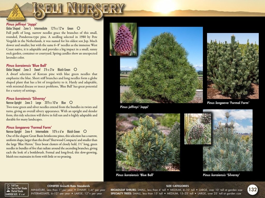 Iseli Nursery Wholesale Nursery Catalog Weekly Ad January 1, 2026 - December 31, 2027