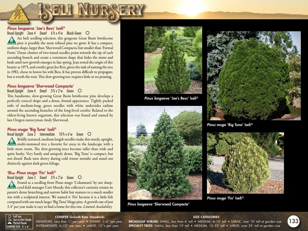 Iseli Nursery Wholesale Nursery Catalog Weekly Ad January 1, 2026 - December 31, 2027